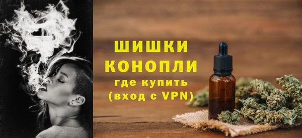 сатива Лихославль