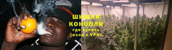 сатива Лихославль