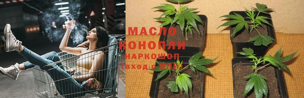 ГАЛЛЮЦИНОГЕННЫЕ ГРИБЫ Липки